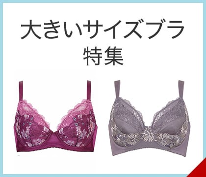 大きいサイズブラ特集