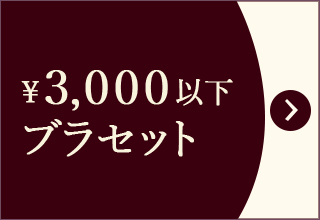 プチプライス特集・￥3,000以下ブラセット