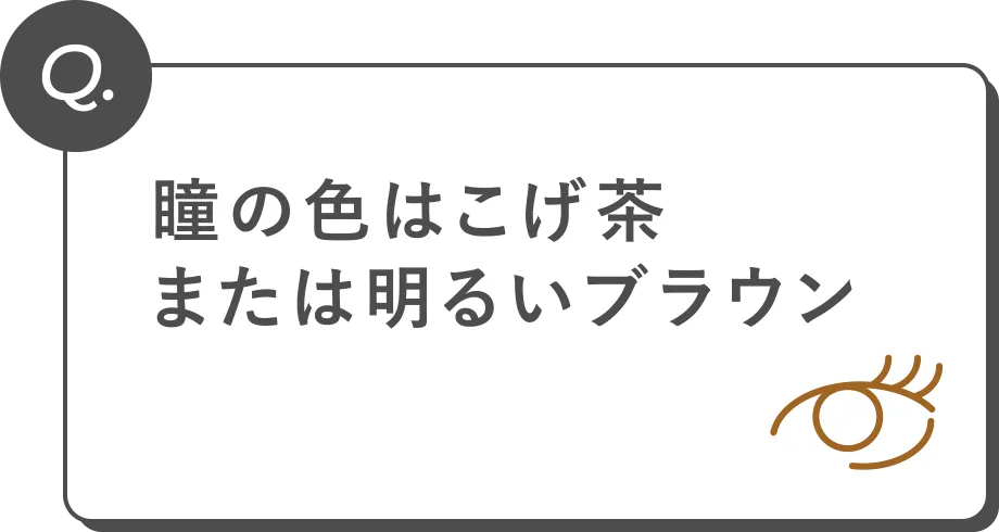 Q. 瞳の色はこげ茶または明るいブラウン