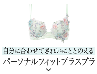 パーソナルフィットプラスブラ