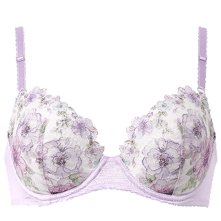 ウイング ナチュラルアップブラ KB2060 CB