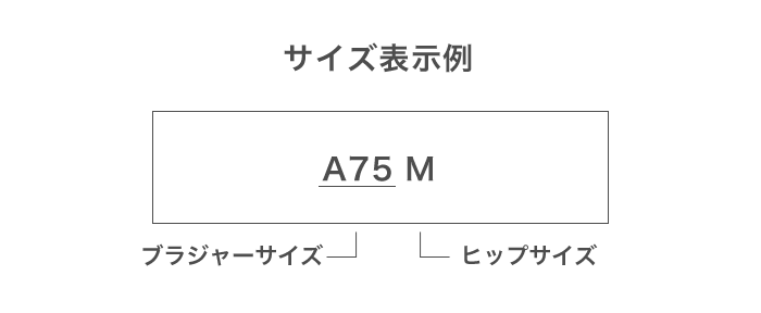 ボディースーツのサイズは、ブラジャーサイズとヒップサイズで決まります。