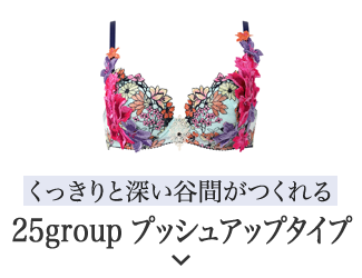 25group プッシュアップタイプ