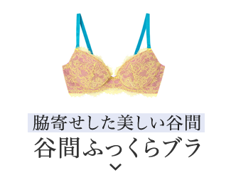 谷間ふっくらブラ