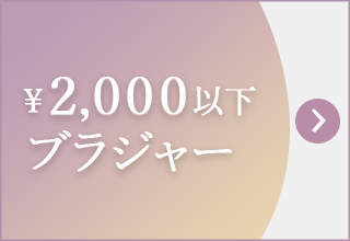 プチプライス特集・￥2,000以下ブラジャー