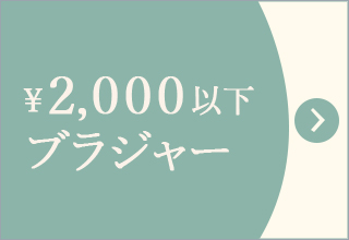 プチプライス特集・￥2,000以下ブラジャー