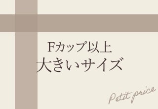 ブラショーセット・Fカップ以上　大きいサイズ