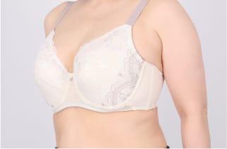 ブラジャーを着用した写真