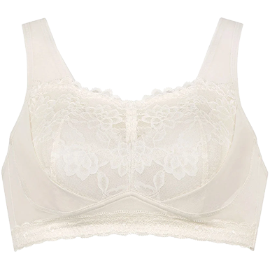ワコール ナイトアップブラ レーシィ BRA166 BE