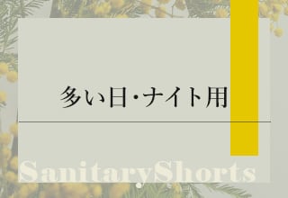 サニタリーショーツ特集・多い日・ナイト用