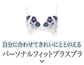 パーソナルフィットプラスブラ