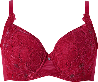 ワコール ハグするブラ コンパクトメイク BXB378 RE