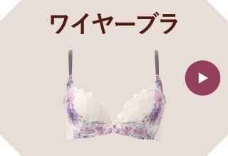 ブラ・ブラトップポイント2倍・ワイヤーブラ