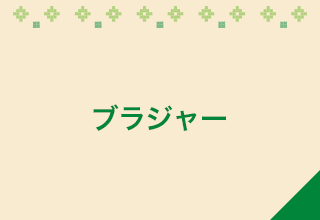 ブラジャー