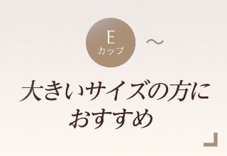 ノンワイヤーブラ特集・大きいサイズ