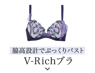 脇高設計でぷっくりバスト V-Richブラ