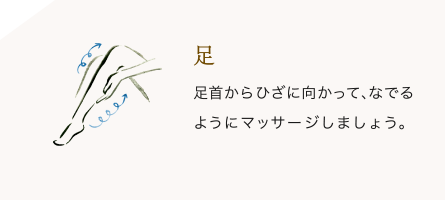 足/足首からひざに向かって、なでるようにマッサージしましょう。