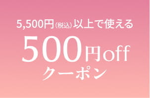 5,500円(税込)以上で使える500円offクーポン