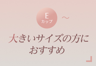 ノンワイヤーブラ特集・大きいサイズ