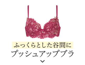 プッシュアップブラ