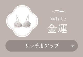 なりたい自分別！開運ブラ・〈金運〉リッチ度アップ　白