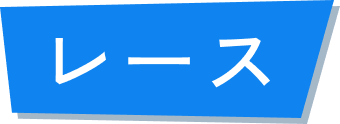 レース