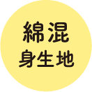綿混身生地