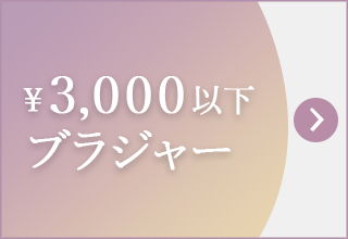 プチプライス特集・￥3,000以下ブラジャー
