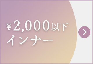 プチプライス特集・￥2,000以下インナー