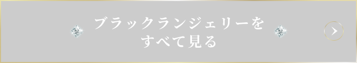 ブラックランジェリーをすべて見る