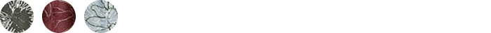 PMI557 のカラーチップの画像