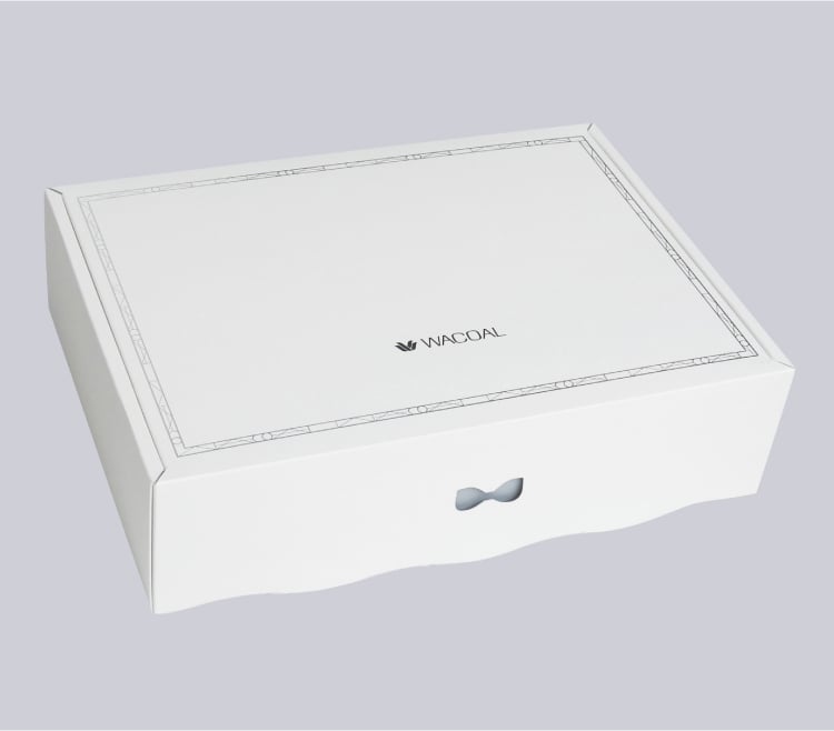 ボックスタイプイメージ1