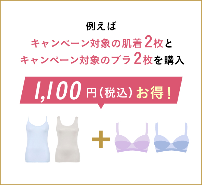 例えばキャンペーン対象の肌着2枚とキャンペーン対象のブラ2枚を購入　1,100円（税込）お得！