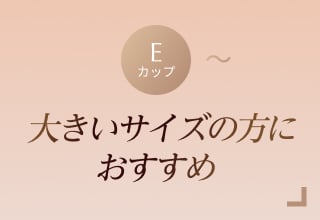 ノンワイヤーブラ特集・大きいサイズ