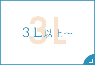 ブラトップ特集・３L以上～