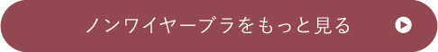 ノンワイヤーブラをもっと見る