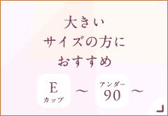 ノンワイヤーブラ特集・大きいサイズ