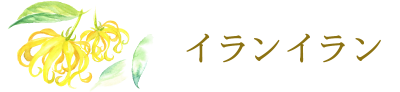 イランイラン
