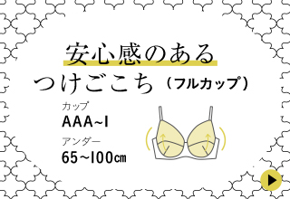 グラマーサイズ（フルカップブラ）