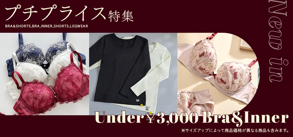 プチプライス特集