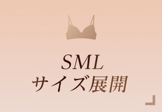 ノンワイヤーブラ特集・SML展開