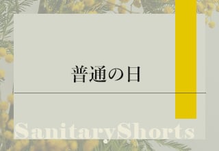 サニタリーショーツ特集・普通の日