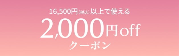 16,500円(税込)以上で使える2,000円offクーポン