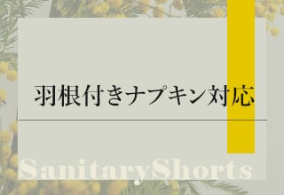 サニタリーショーツ特集・羽付きナプキン対応