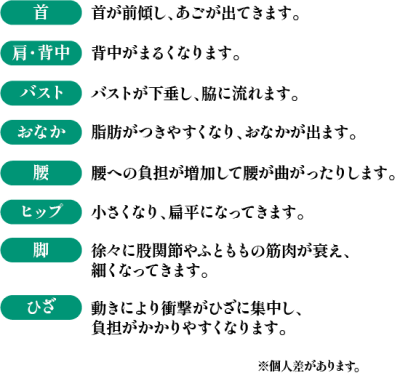 部位ごとの変化