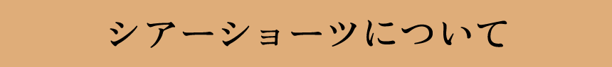 シアーショーツについて