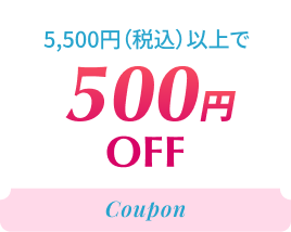 500円OFF 5,500円（税込）以上で
