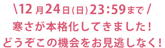 12月24日（日）23:59まで 寒さが本格化してきました！どうぞ機会をお見逃しなく！
