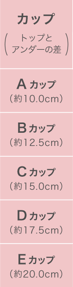 サイズ表