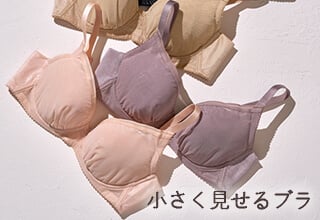 ワコールコレクション・小さく見せるブラ